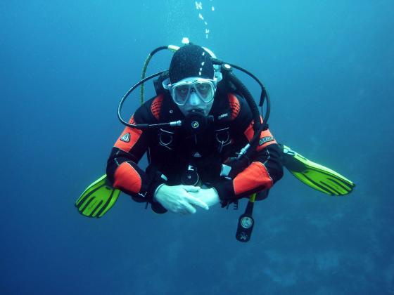 Open Water Diver