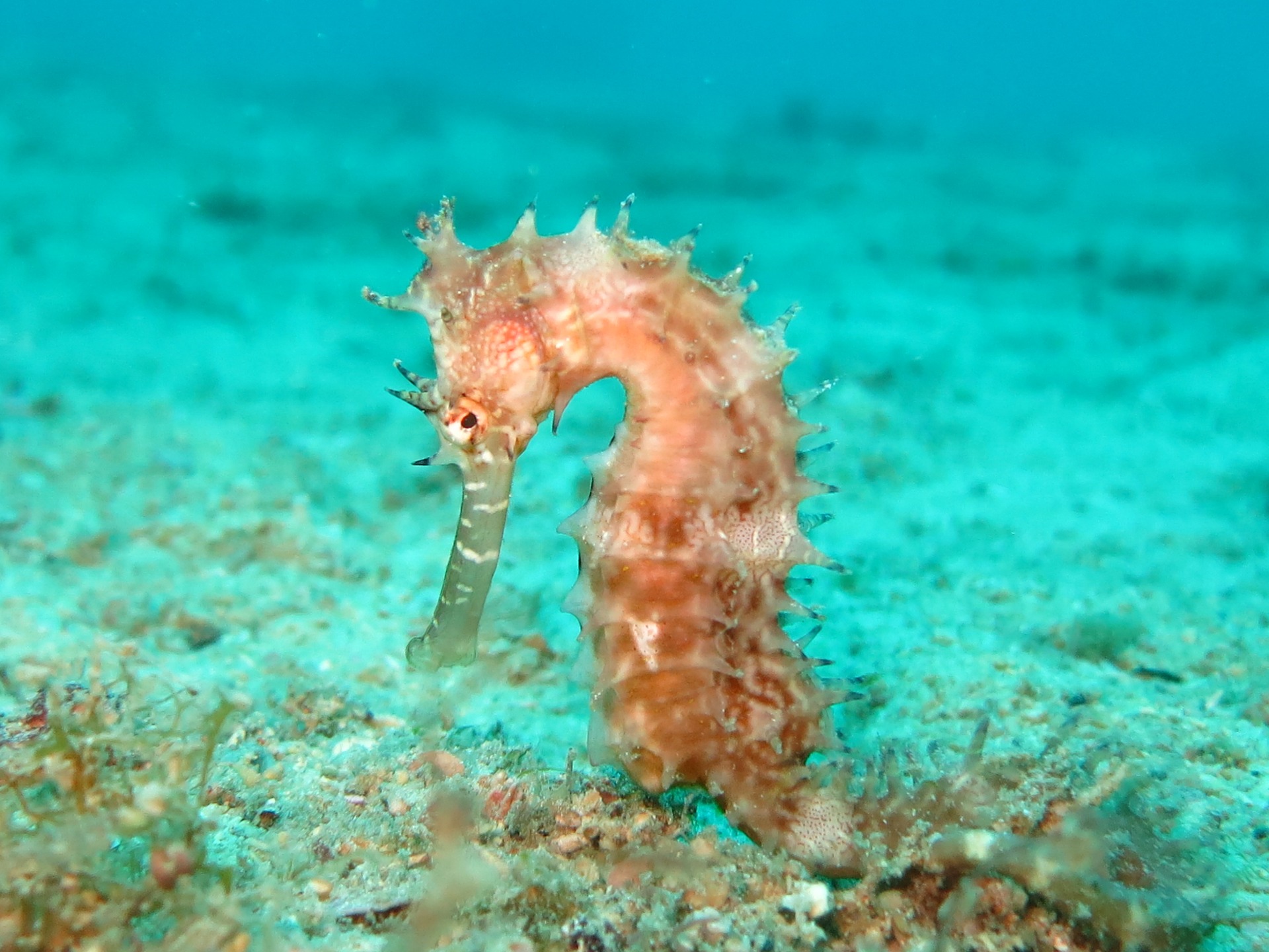 Bautizo de buceo para 2